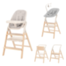 CARRELLO` ERGO стульчик для кормления 4в1 (CRL-16701)