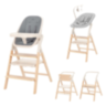 CARRELLO` ERGO стульчик для кормления 4в1 (CRL-16701)