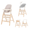CARRELLO` ERGO стульчик для кормления 4в1 (CRL-16701)
