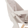 CARRELLO` ERGO стульчик для кормления 4в1 (CRL-16701)