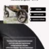 ANEX` RIDE коляска прогулочная 